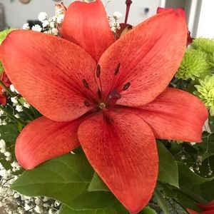 Meet your Posher, Katherine